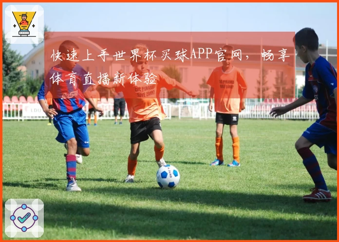 快速上手世界杯买球APP官网，畅享体育直播新体验